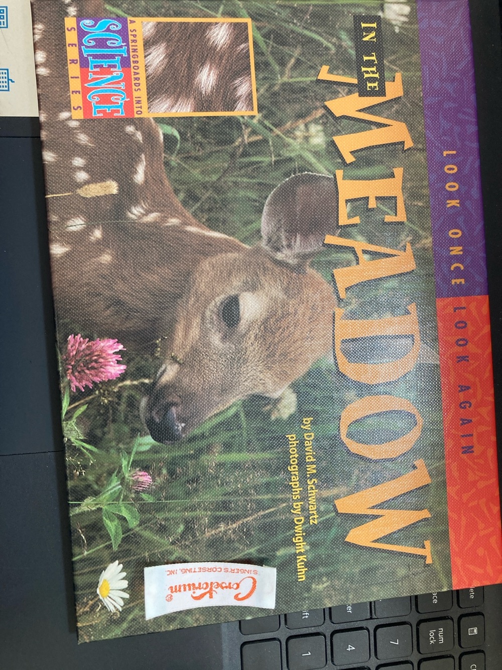 In the Meadow Hardcover Book - Nature science new